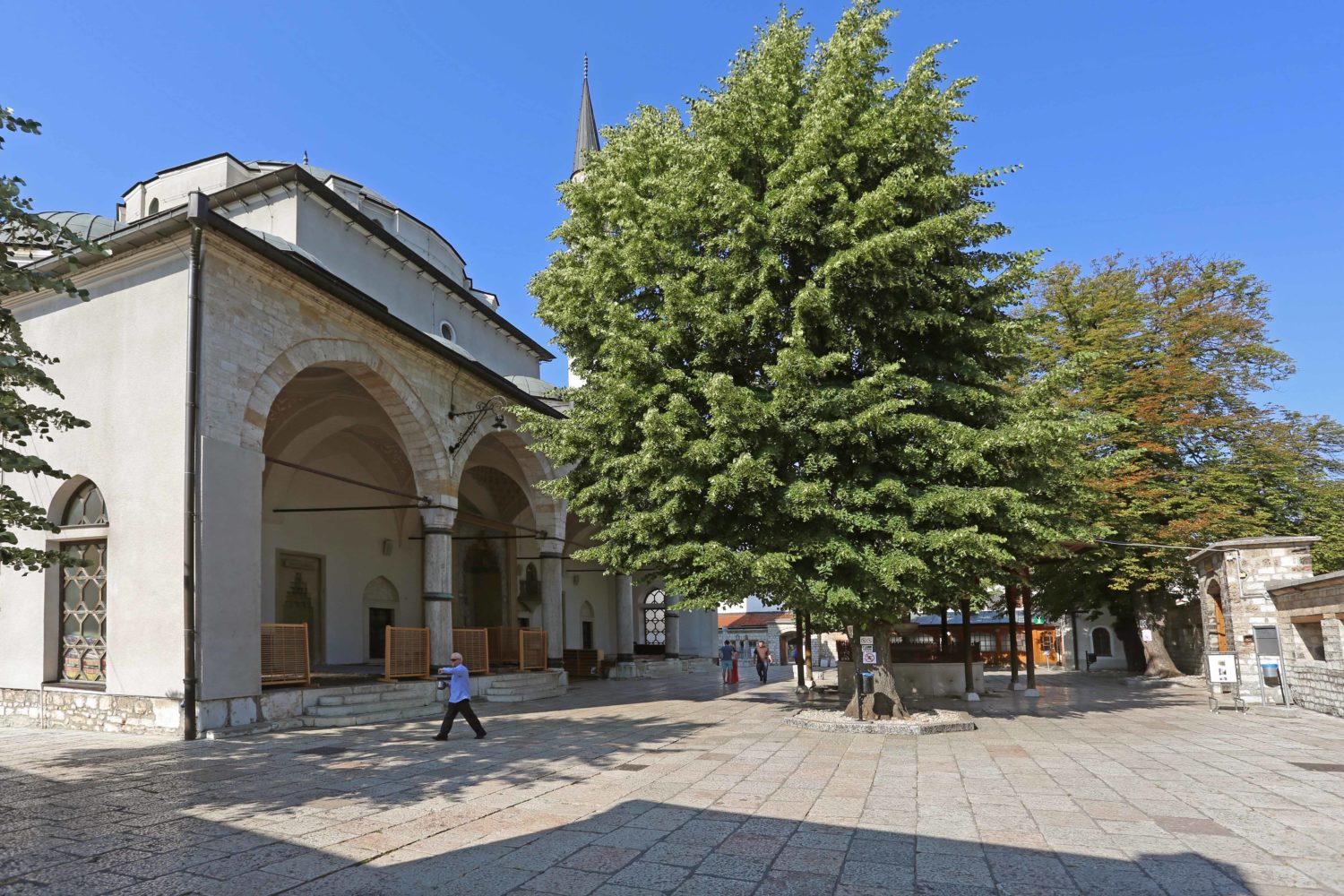 The courtyard of Gazi Husrev-bey Mosque in Sarajevo, with a tree in the foreground and the mosque's arched entrance visible.